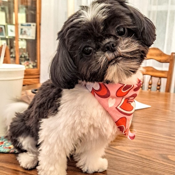 Meet your Posher, Kathy - Picture 1 of 1